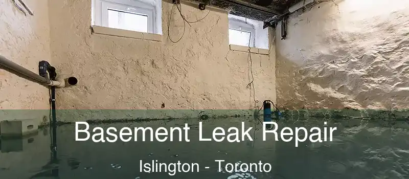 Basement Leak Repair Islington - Toronto