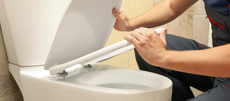 Damaged Toilet Parts Replacement Services in Islington, Toronto