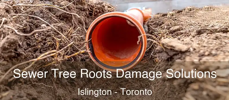 Sewer Tree Roots Damage Solutions Islington - Toronto