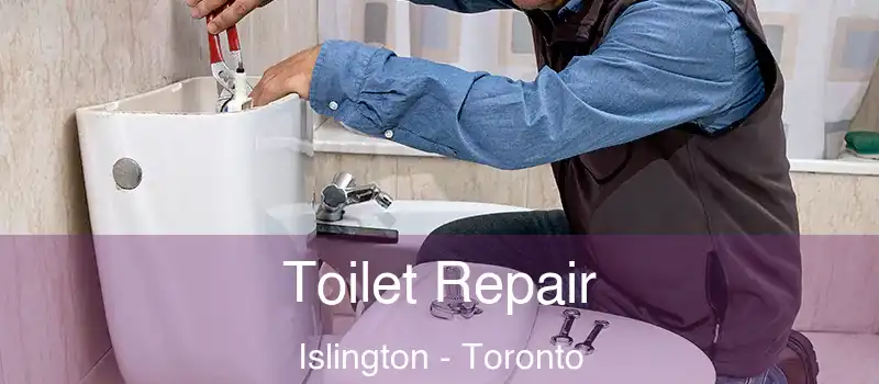  Toilet Repair Islington - Toronto