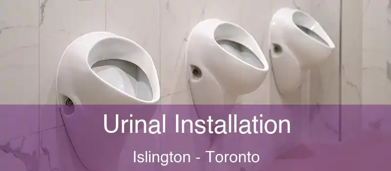  Urinal Installation Islington - Toronto