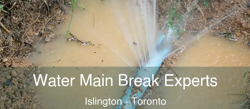  Water Main Break Experts Islington - Toronto